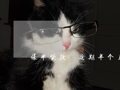 保单贷款 逾期半个月 保单贷款 逾期半个月